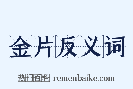 金片反义词是什么意思的图片